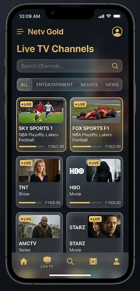 Netv Gold V10 Ekran Görüntüsü 2