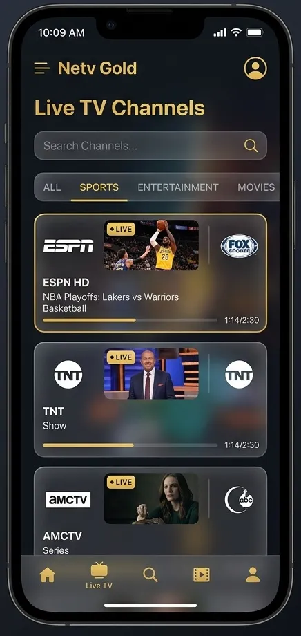 Netv Gold V10 Ekran Görüntüsü